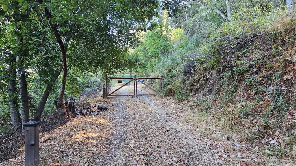20245 Gist Road Property Photo 12