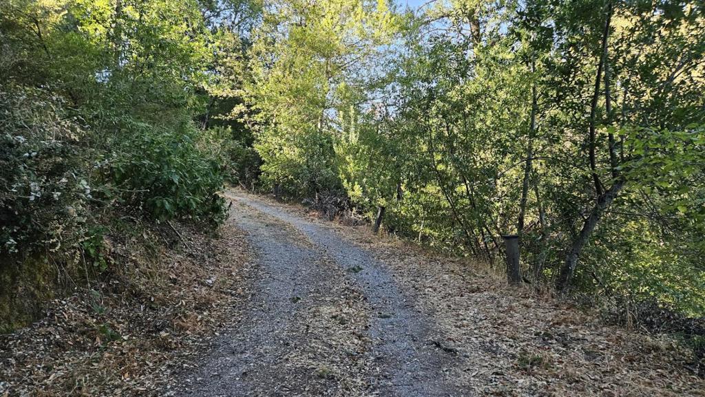 20245 Gist Road Property Photo 13