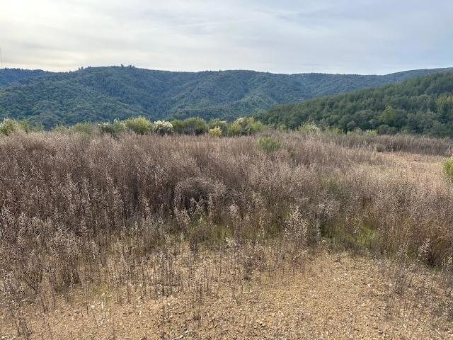 0 Croy Property Photo 7