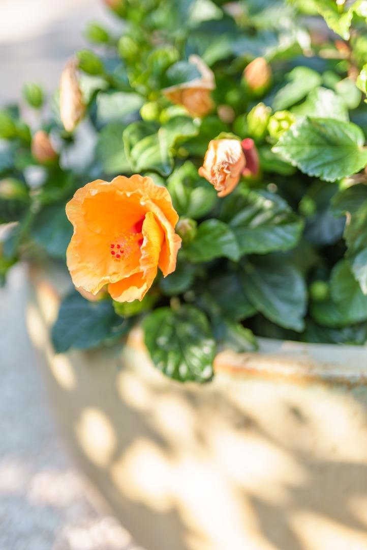 325 Kingsbury Drive Property Photo 53