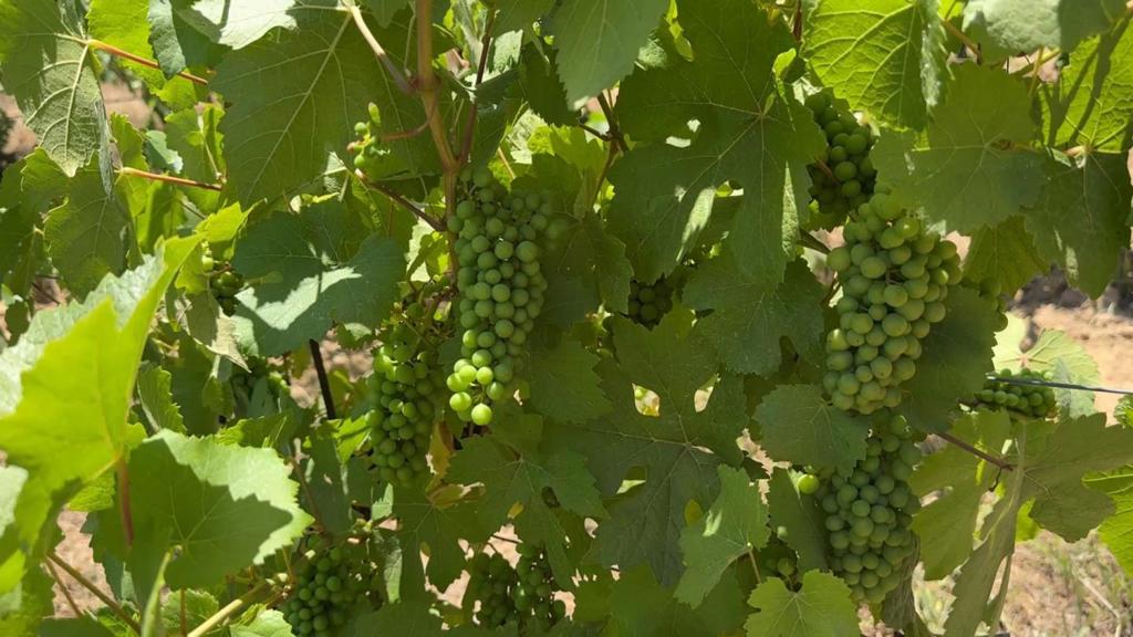 18570 Black Road Property Photo 20