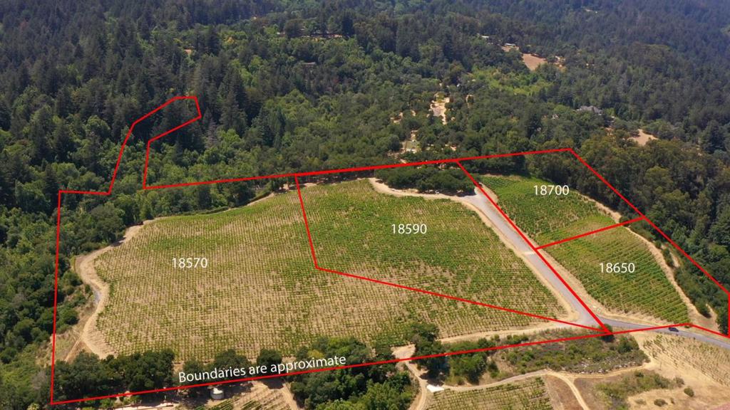 18650 Black Road Property Photo 19