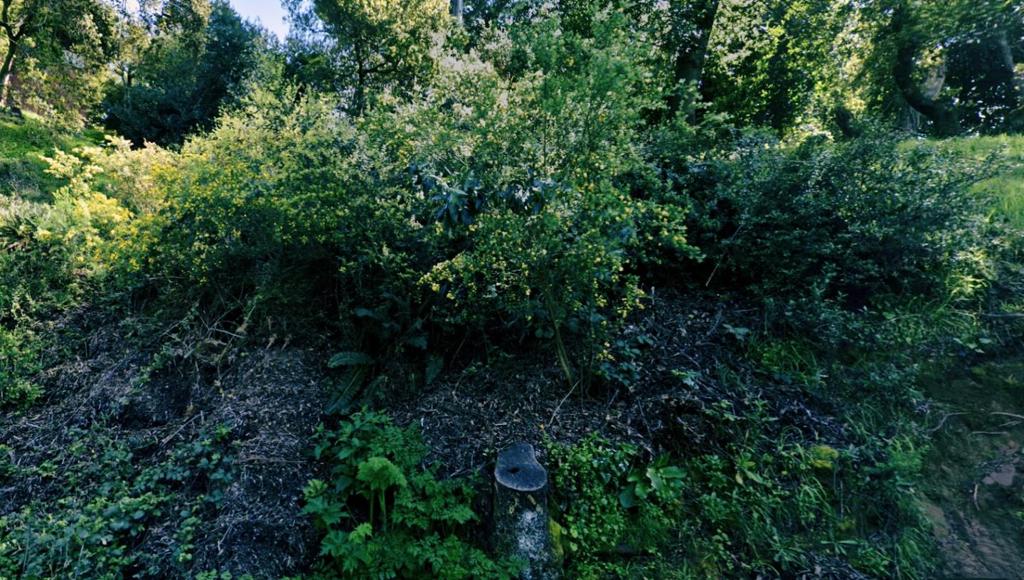 0 Girvin Drive Property Photo 2