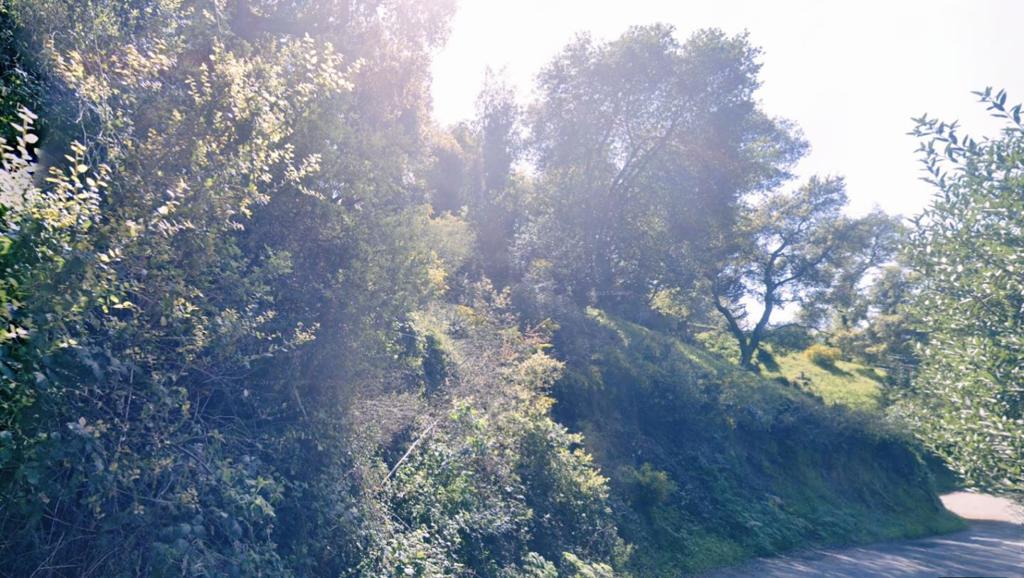 0 Girvin Drive Property Photo 3