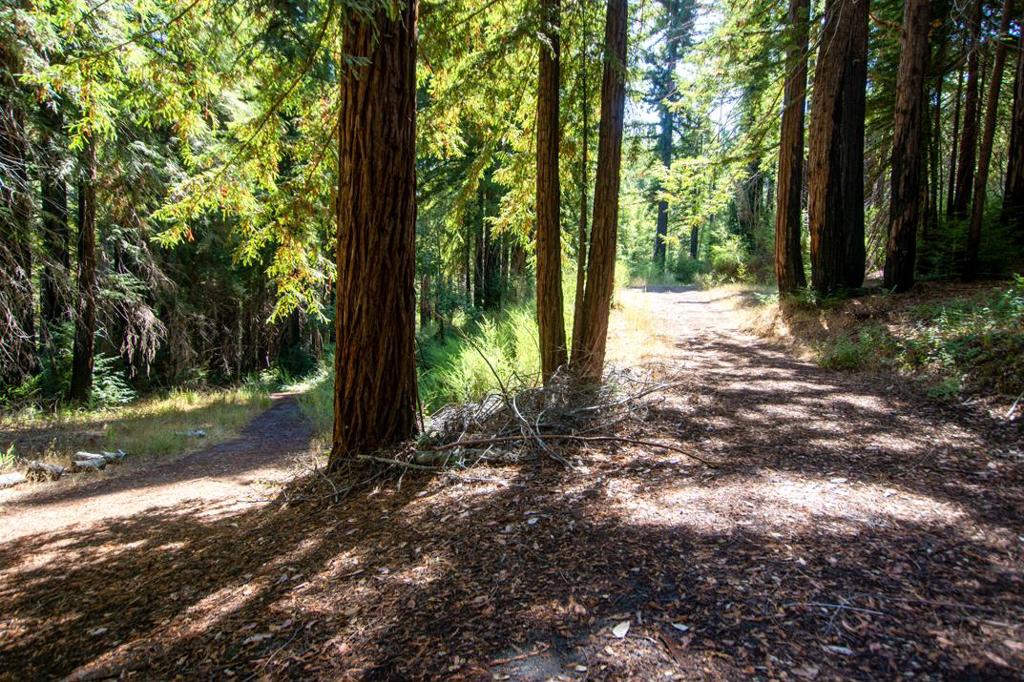 19145 Big Basin Way Property Photo 1