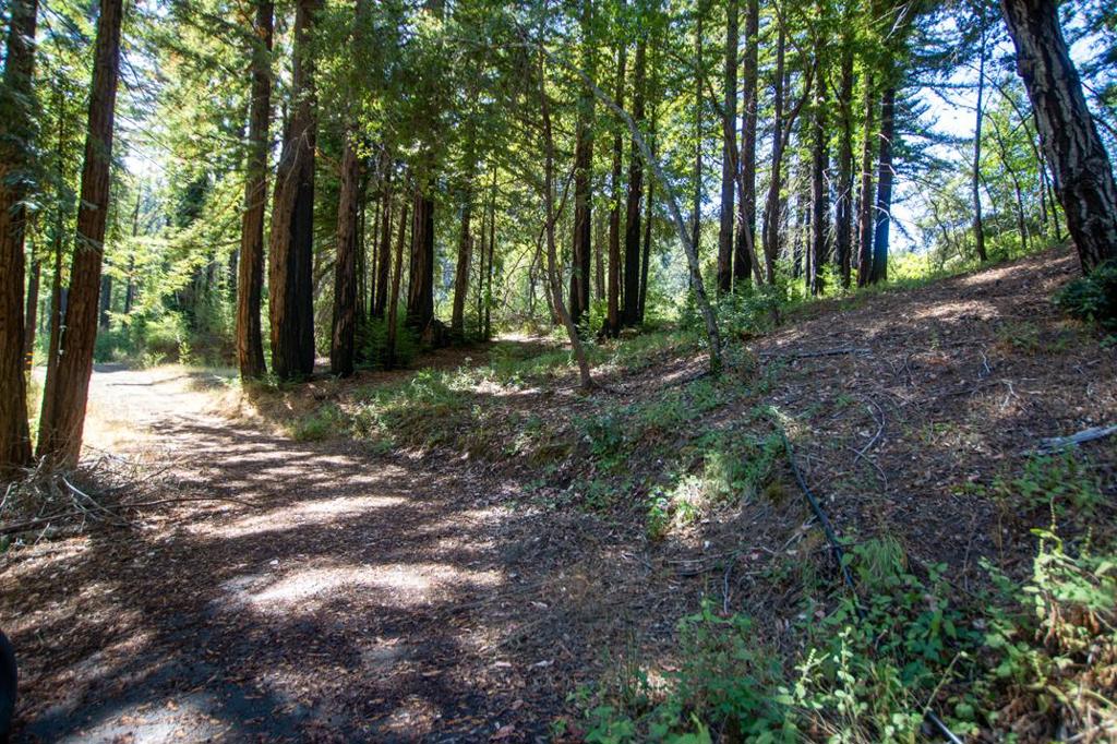19145 Big Basin Way Property Photo 4