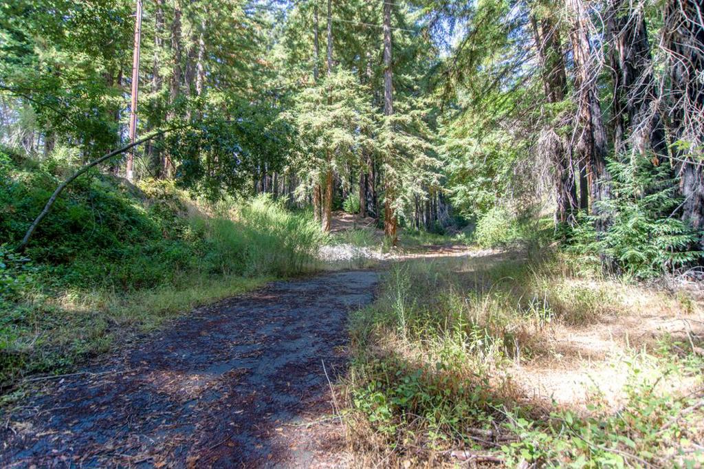 19145 Big Basin Way Property Photo 9