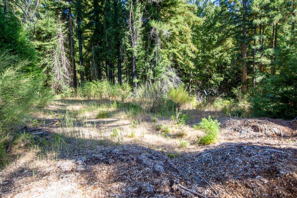 19145 Big Basin Way Property Photo 10