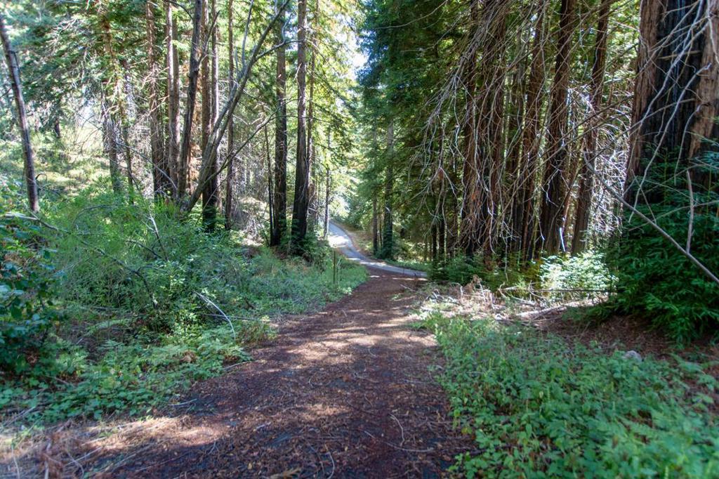 19145 Big Basin Way Property Photo 12