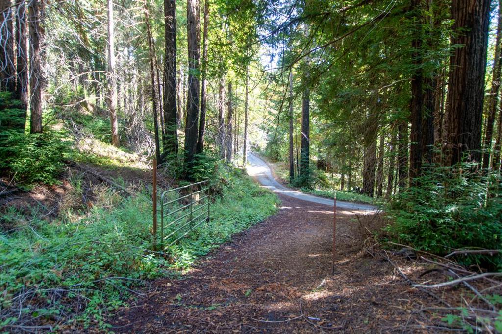 19145 Big Basin Way Property Photo 13