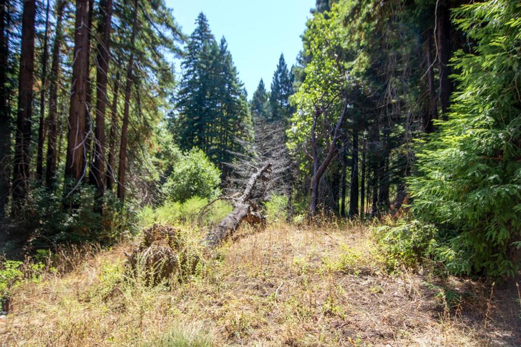 19145 Big Basin Way Property Photo 15