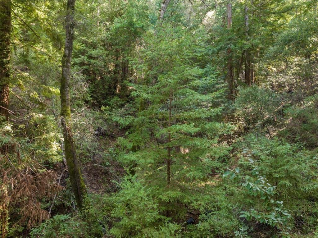 0 Lake Blvd Property Photo 1