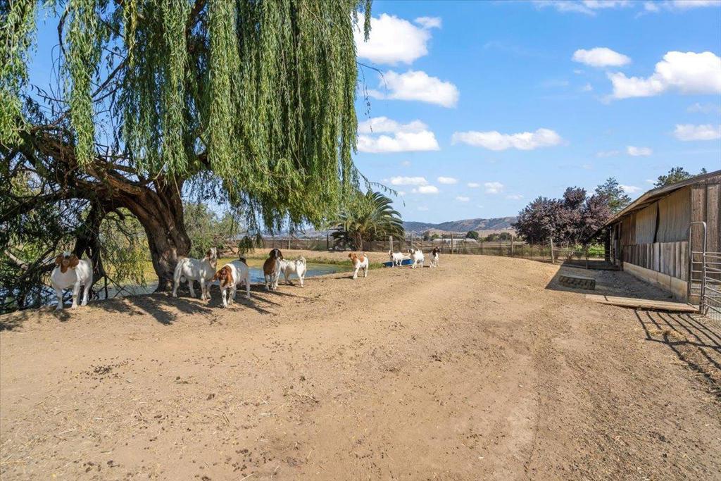 2675 Pacheco Pass Highway Property Photo 49