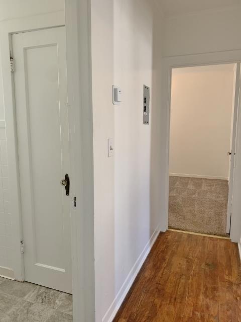 16 Hodel Court Property Photo 16