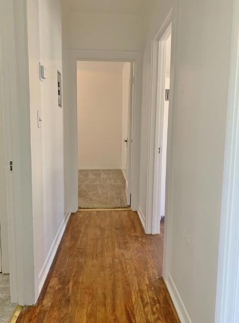 16 Hodel Court Property Photo 17