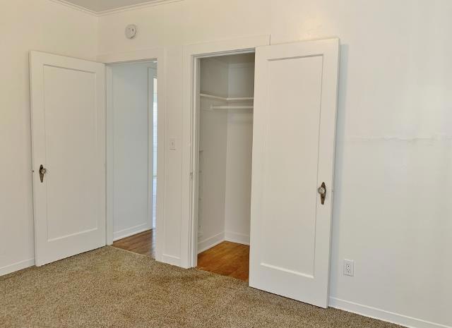 16 Hodel Court Property Photo 22