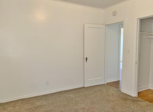 16 Hodel Court Property Photo 23