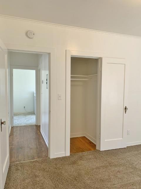 16 Hodel Court Property Photo 24