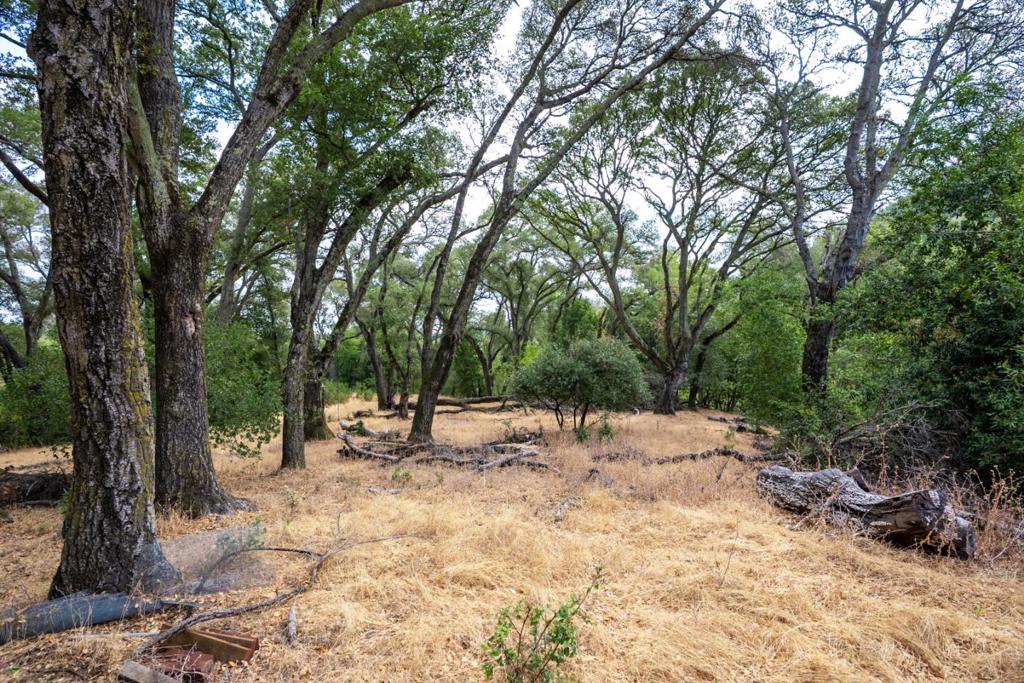 0 Wagner Road Property Photo 28