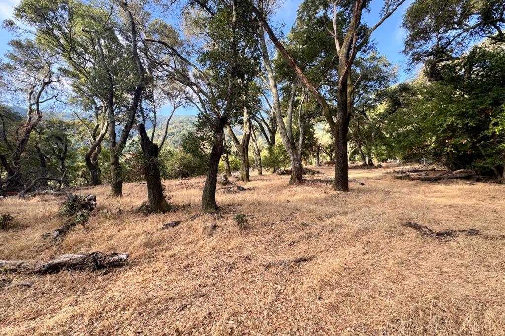 0 Wagner Road Property Photo 30
