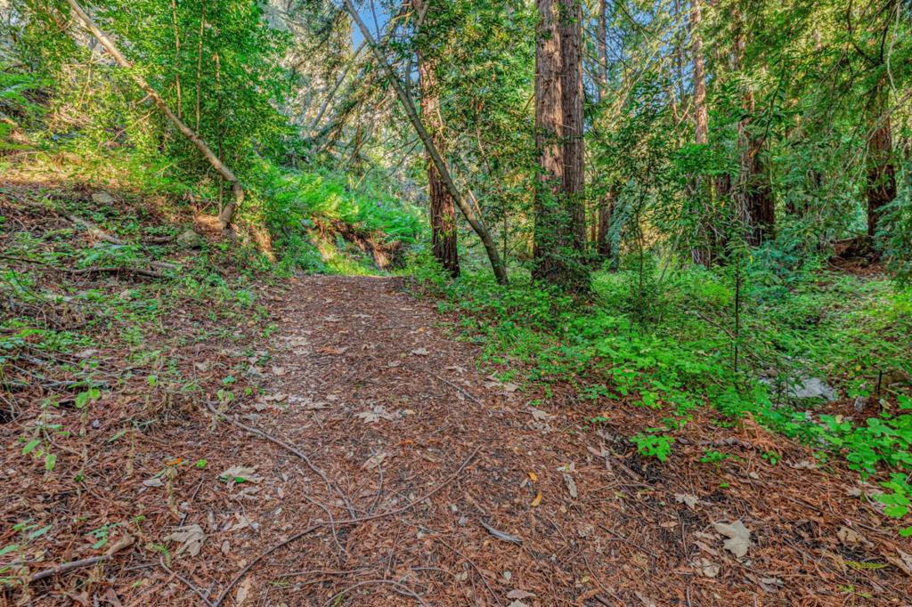 Ranch, Carmel Valley Road Property Photo 11
