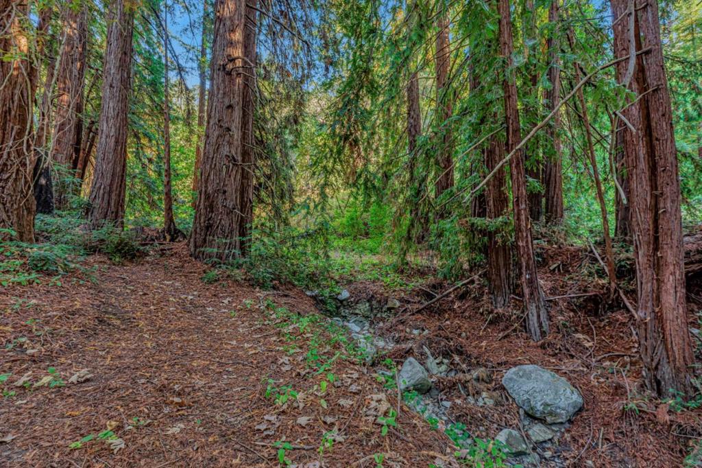 Ranch, Carmel Valley Road Property Photo 13