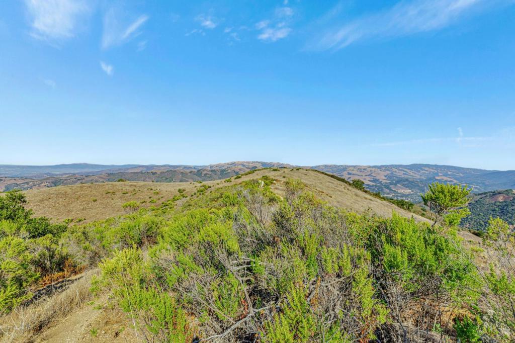 Ranch, Carmel Valley Road Property Photo 33