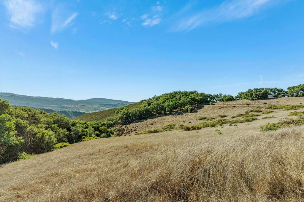 Ranch, Carmel Valley Road Property Photo 35