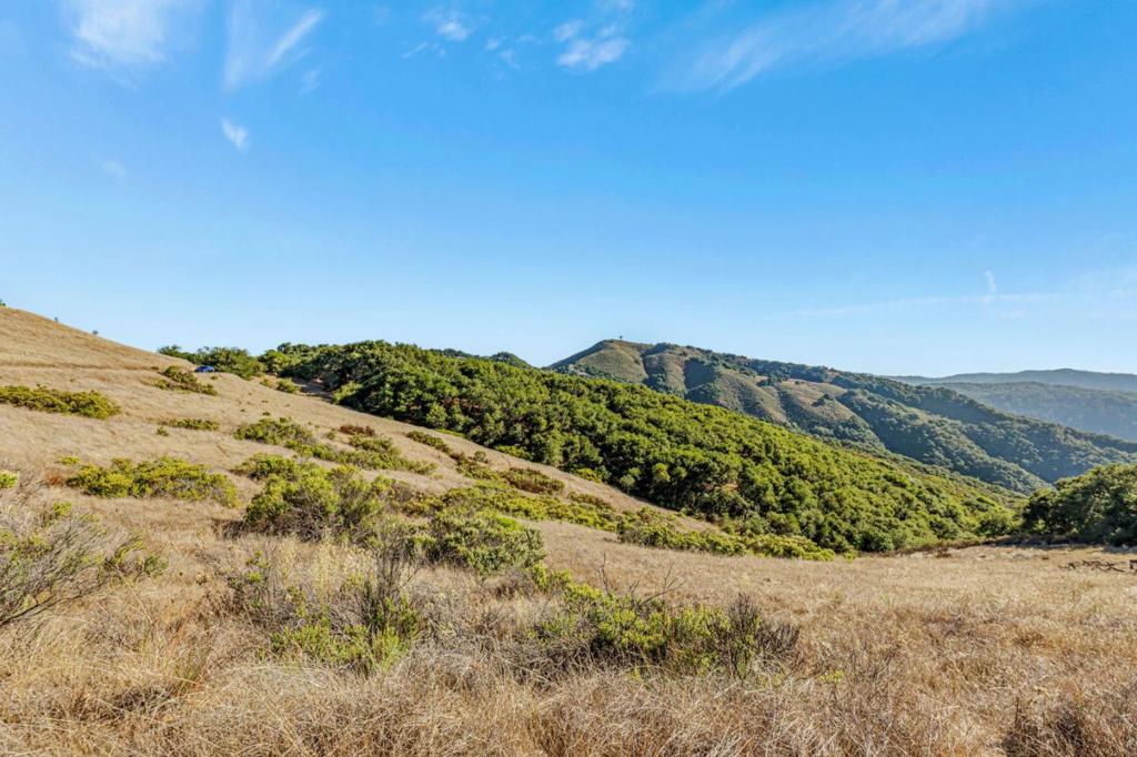 Ranch, Carmel Valley Road Property Photo 38