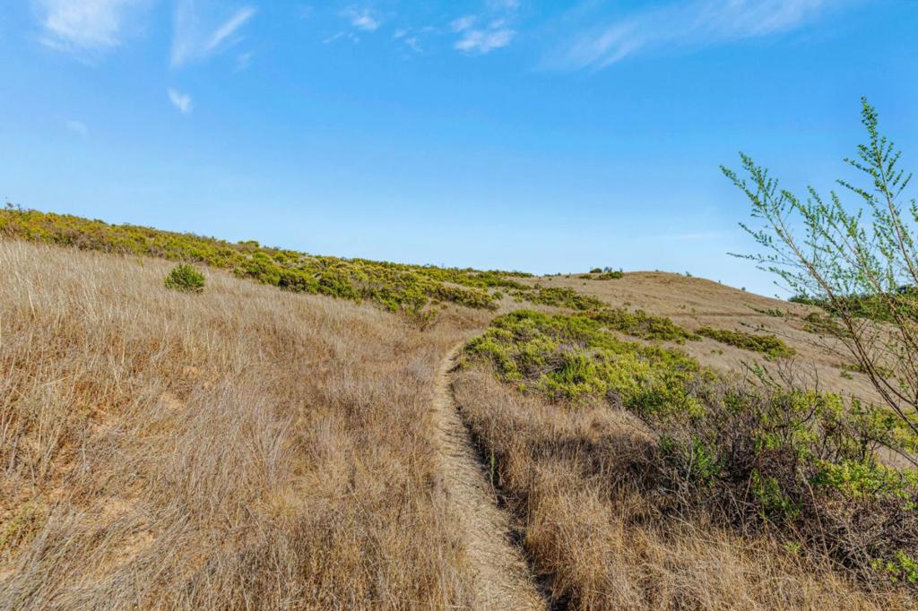 Ranch, Carmel Valley Road Property Photo 41