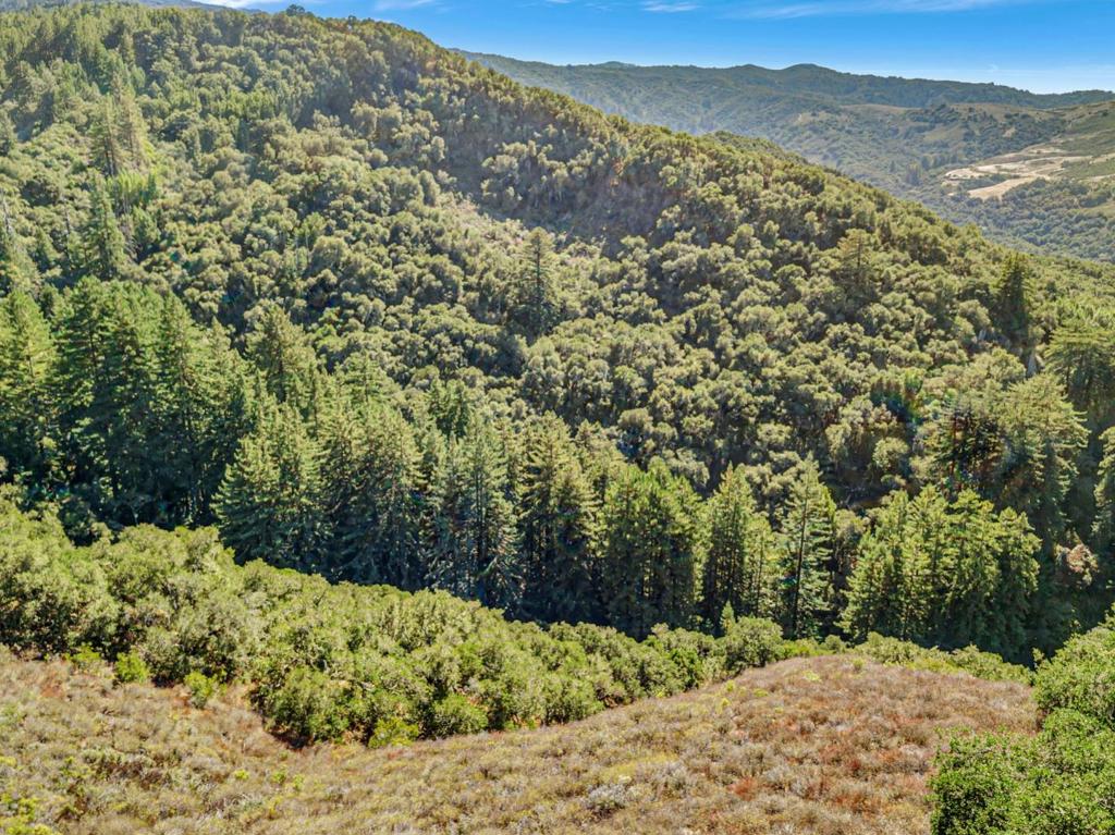 Ranch, Carmel Valley Road Property Photo 48