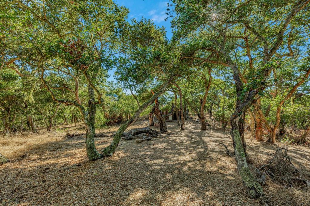 Ranch, Carmel Valley Road Property Photo 69