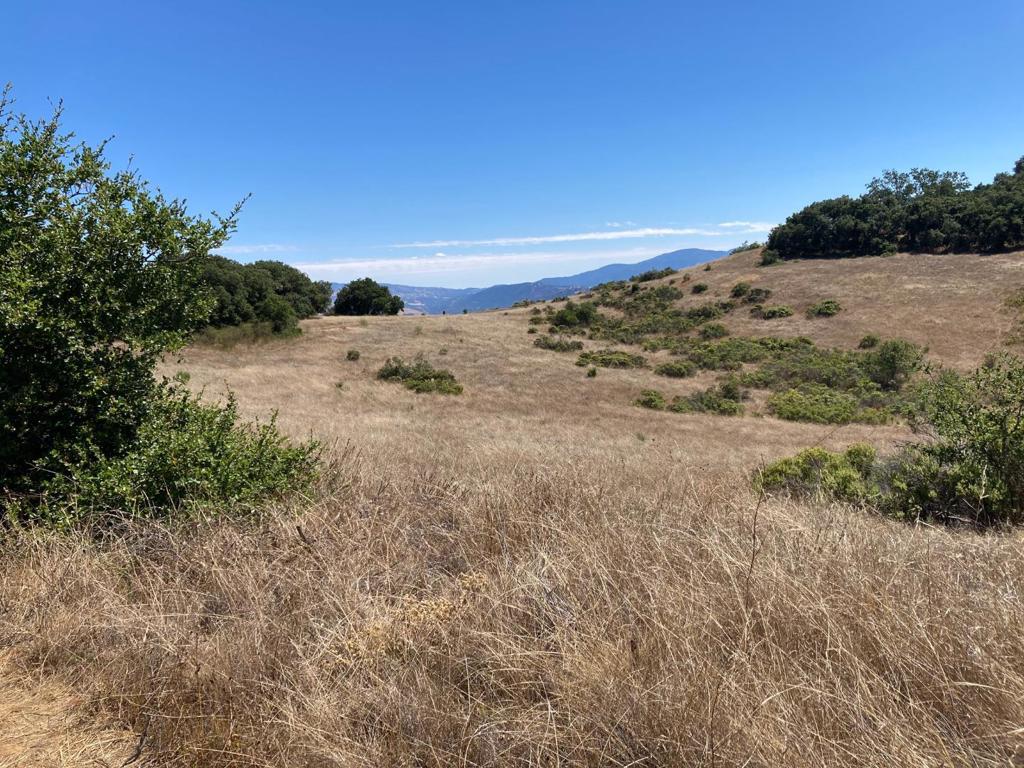 Ranch, Carmel Valley Road Property Photo 75