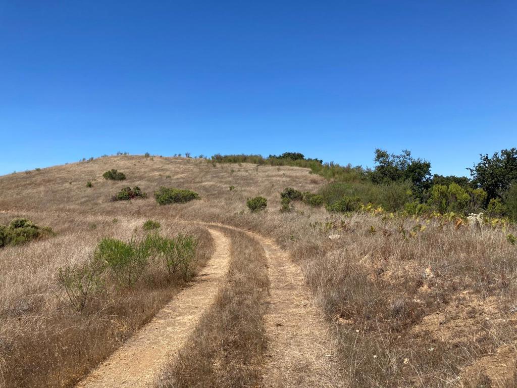 Ranch, Carmel Valley Road Property Photo 77