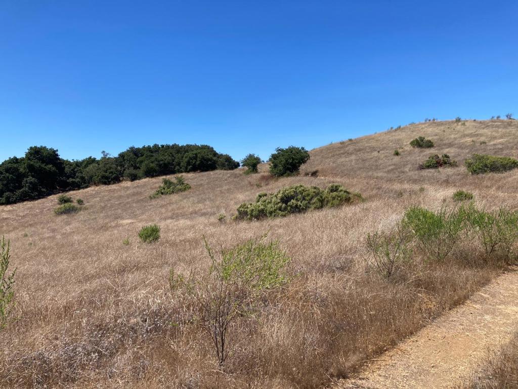 Ranch, Carmel Valley Road Property Photo 78