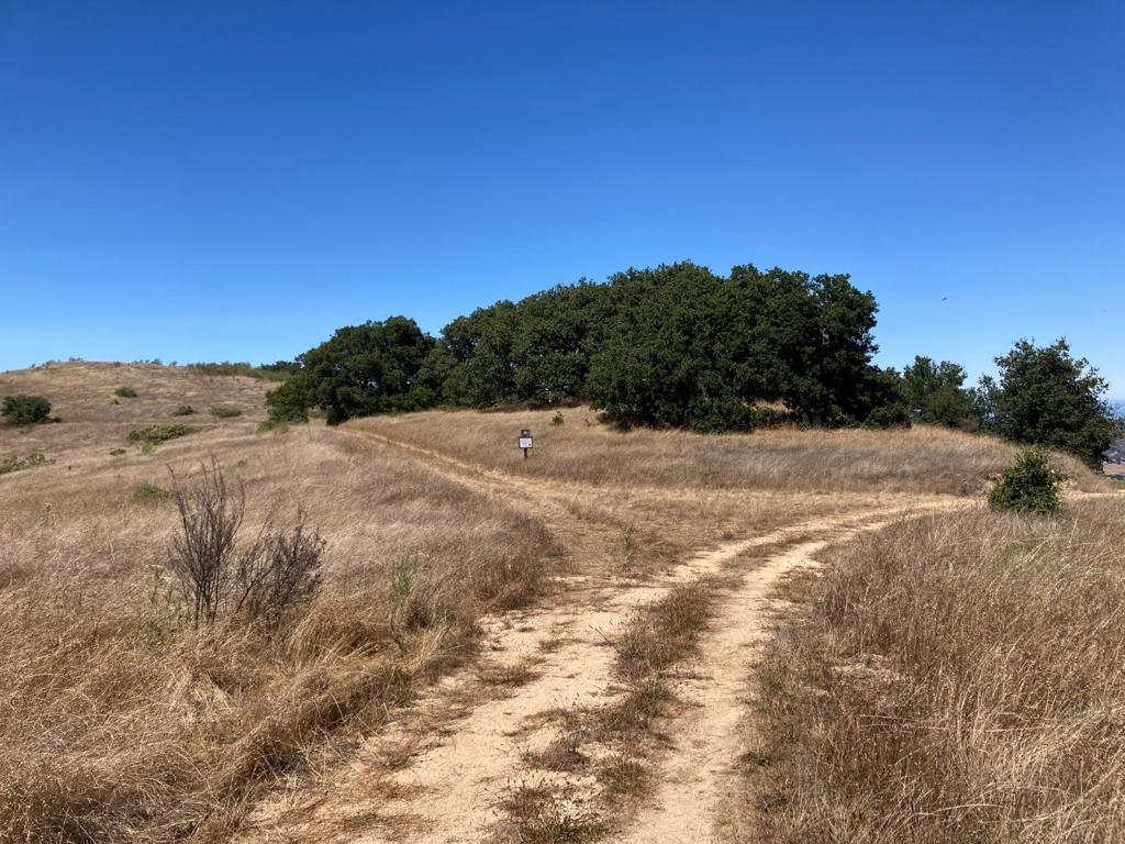 Ranch, Carmel Valley Road Property Photo 84