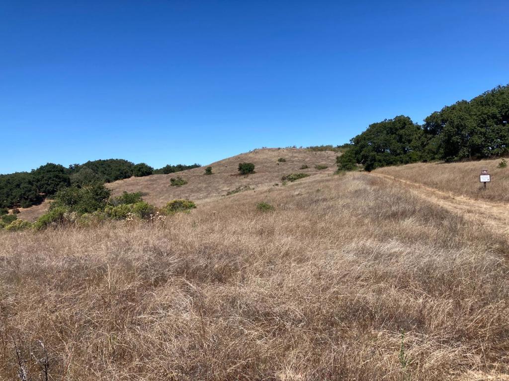 Ranch, Carmel Valley Road Property Photo 85