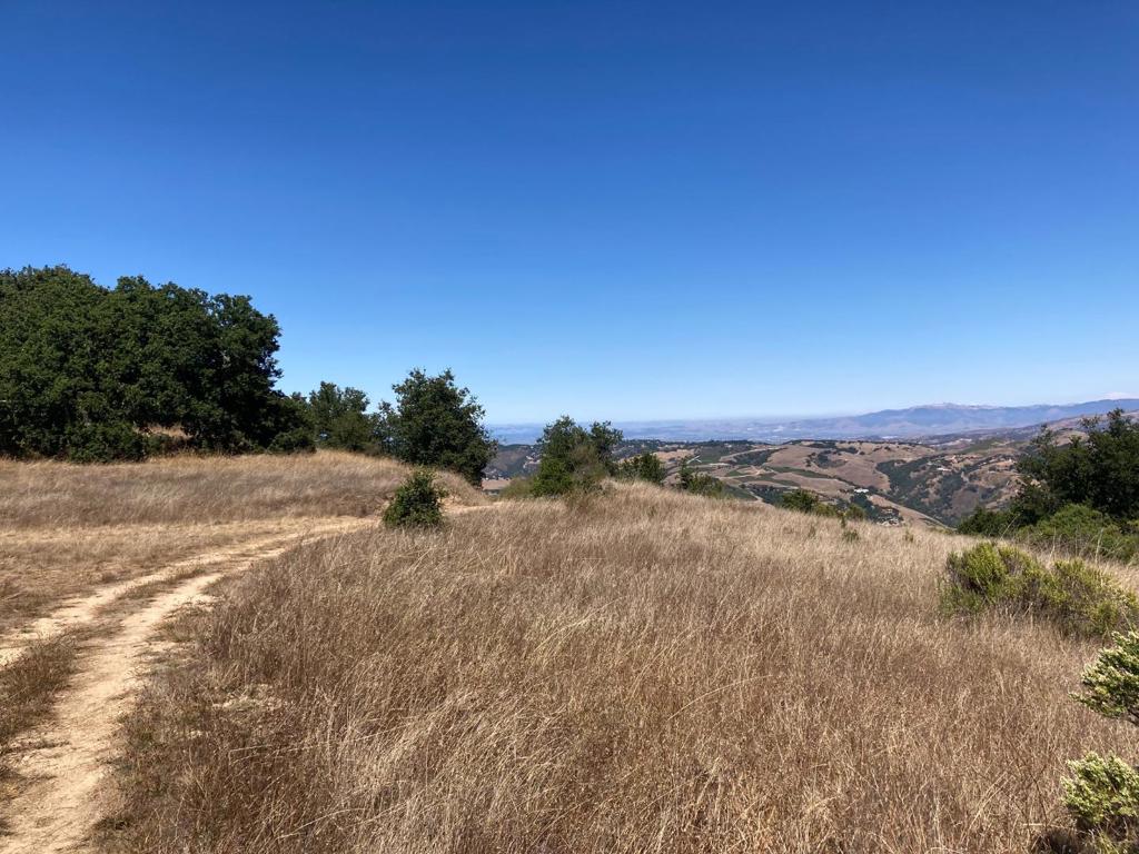 Ranch, Carmel Valley Road Property Photo 86