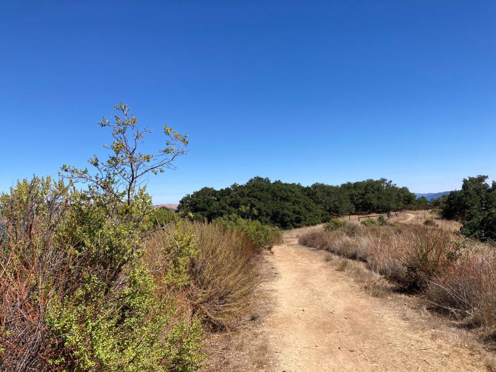 Ranch, Carmel Valley Road Property Photo 87