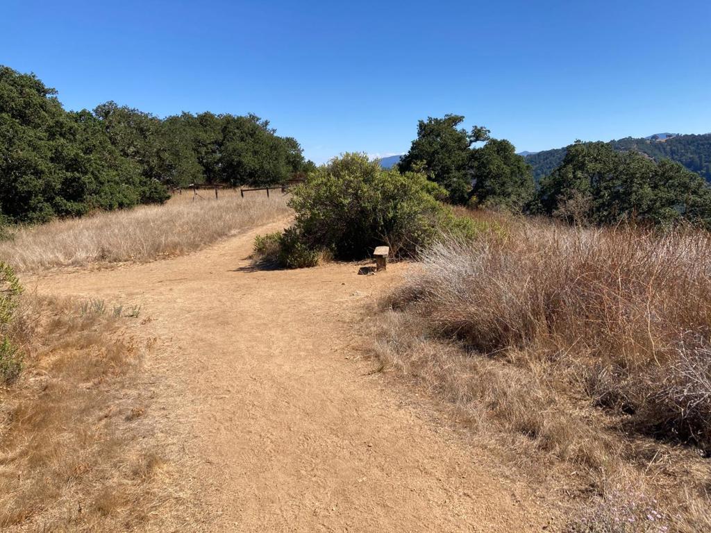 Ranch, Carmel Valley Road Property Photo 88