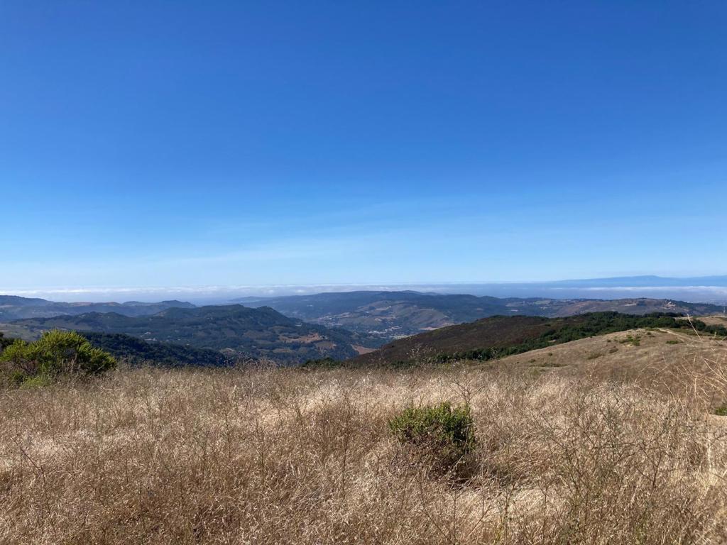Ranch, Carmel Valley Road Property Photo 94