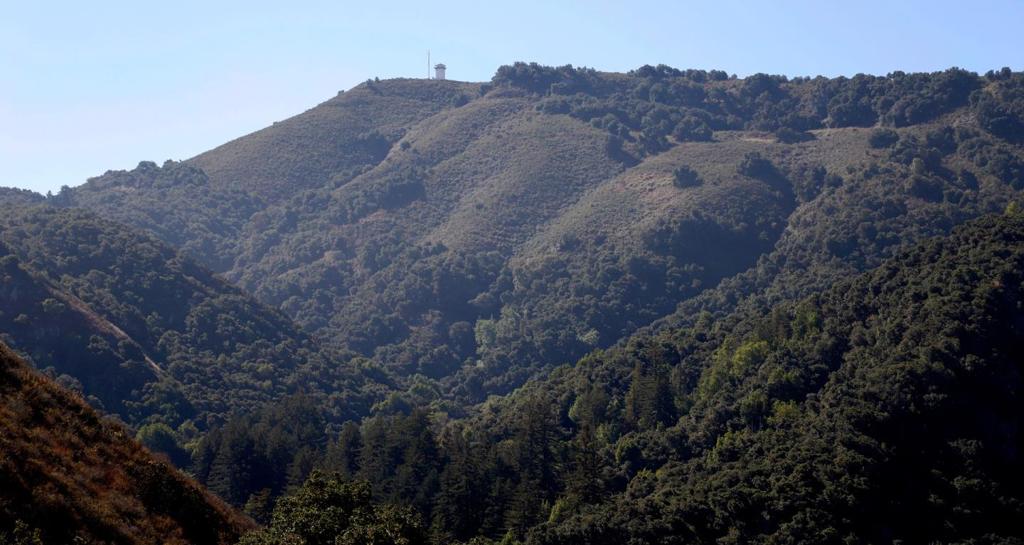 Ranch, Carmel Valley Road Property Photo 95