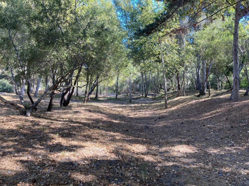 Ranch, Carmel Valley Road Property Photo 99