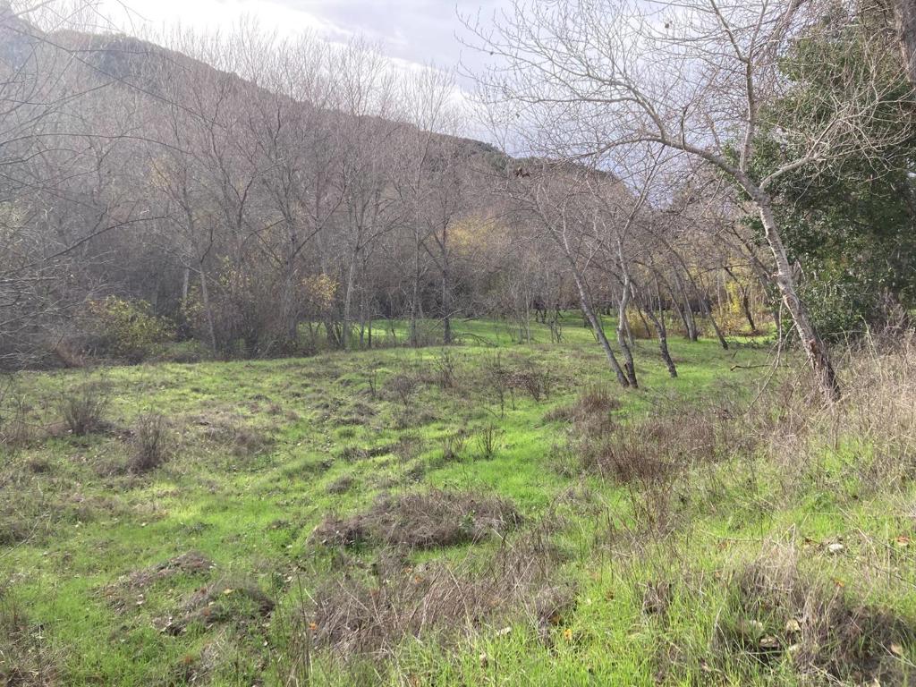 Ranch, Carmel Valley Road Property Photo 100