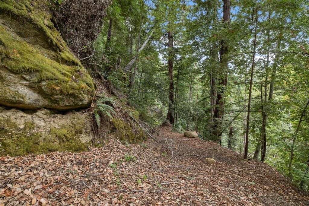 2 Bear Creek Property Photo 3