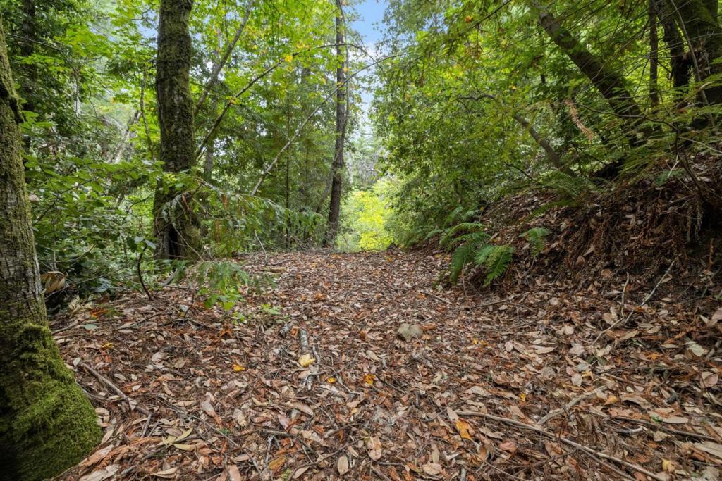 2 Bear Creek Property Photo 4