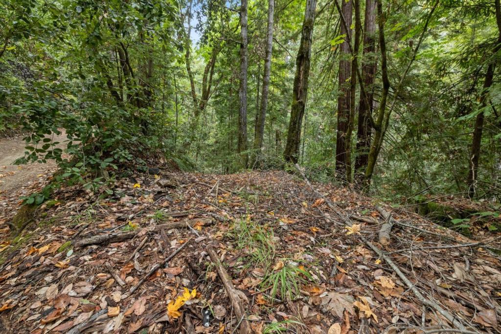 2 Bear Creek Property Photo 5