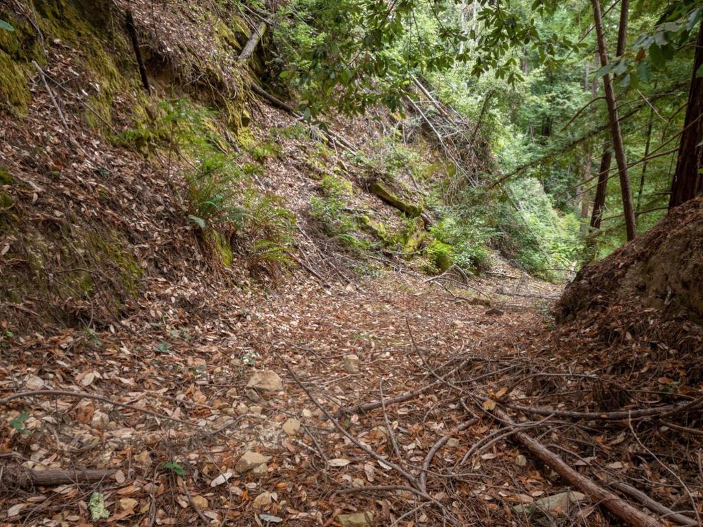 2 Bear Creek Property Photo 6