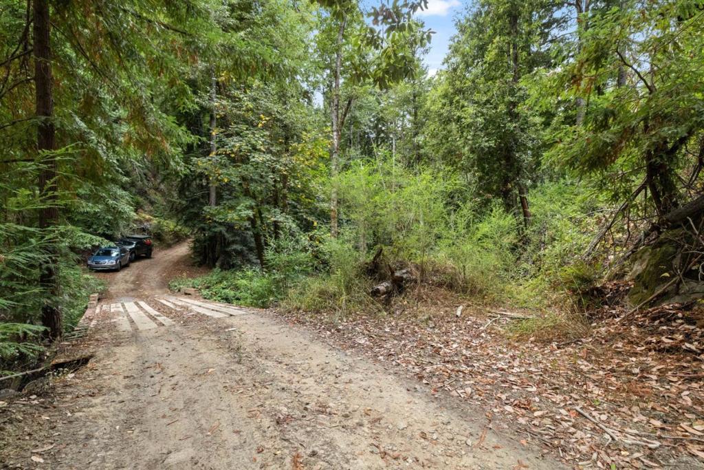 2 Bear Creek Property Photo 7