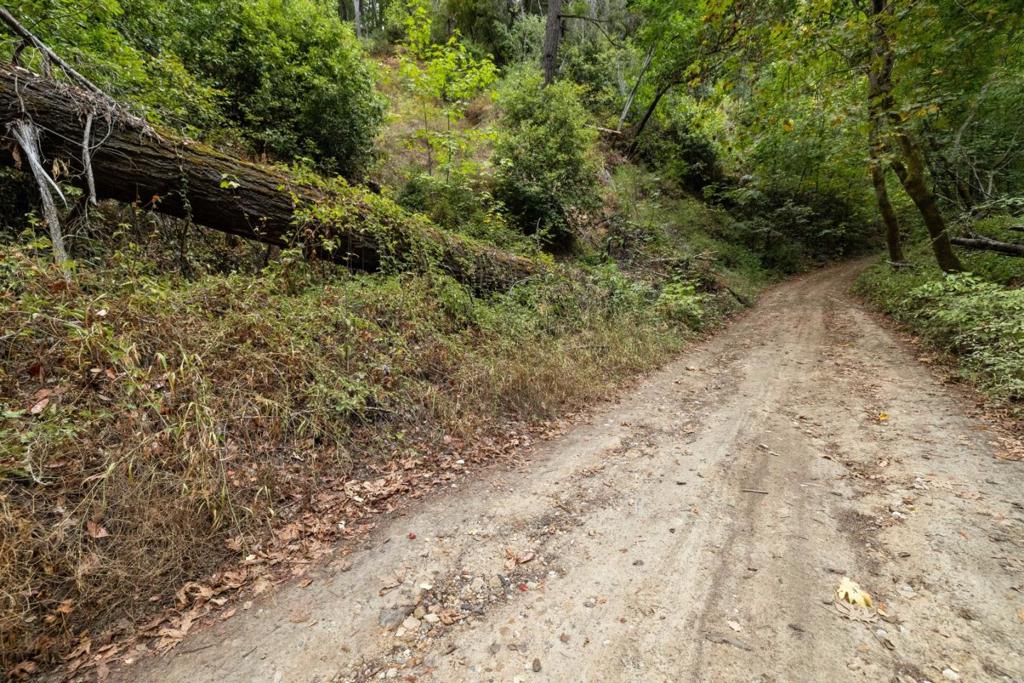 2 Bear Creek Property Photo 8
